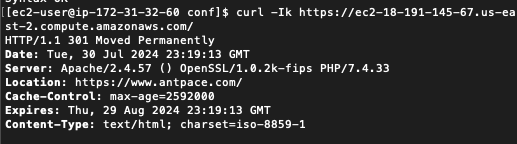 301 redirect via CLI CURL